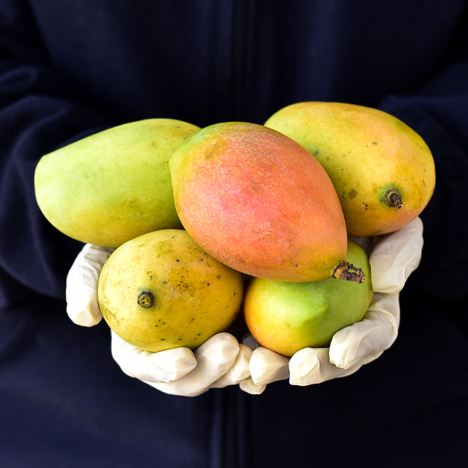 Mango Rasalu Aam Organic Fruit