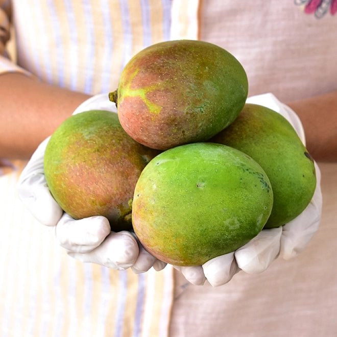 sindoori mango aam organic fruit