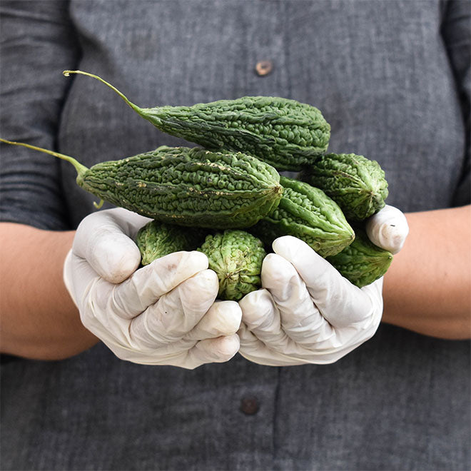 Karela (Bitter Gourd)