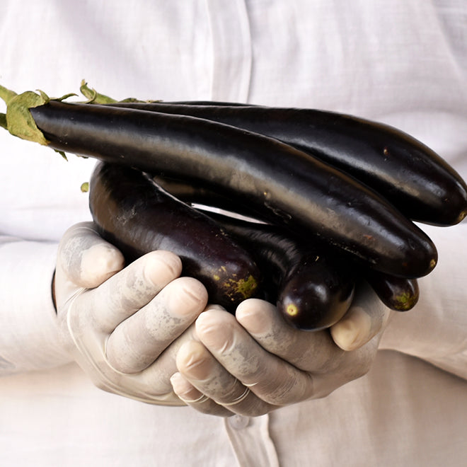 Brinjal (Baingan) - Long