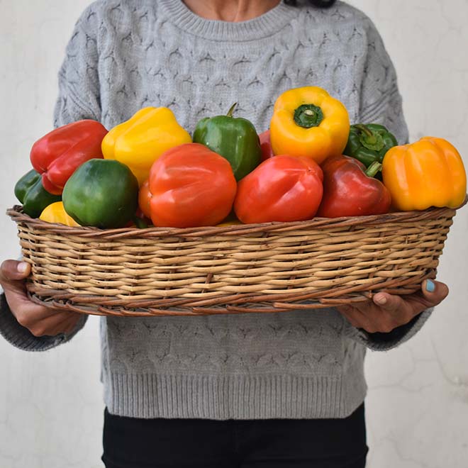 Assorted Capsicum Pack